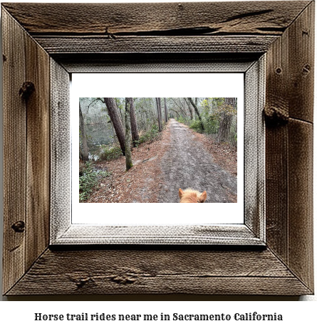 horse trail rides near me in Sacramento, California